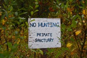 sights of gustavus(2)