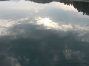 upside down morning reflection