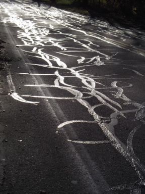 east foxboro street pavement