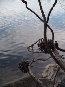 walden pond nov 2012