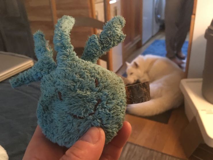 31939864_10102756379834770_4873551381350318080_o