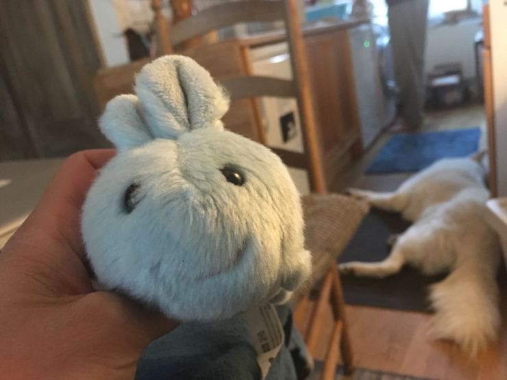 31947616_10102756370059360_3372114454861840384_o